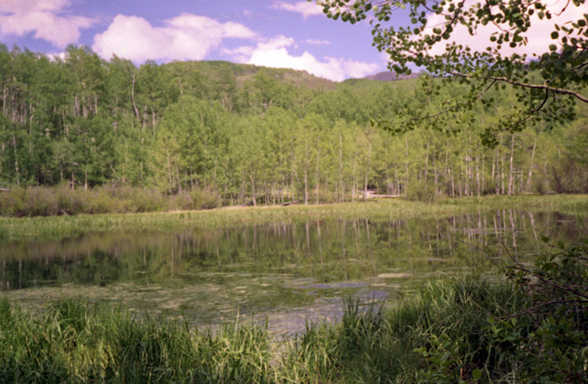 pond sunshine campground